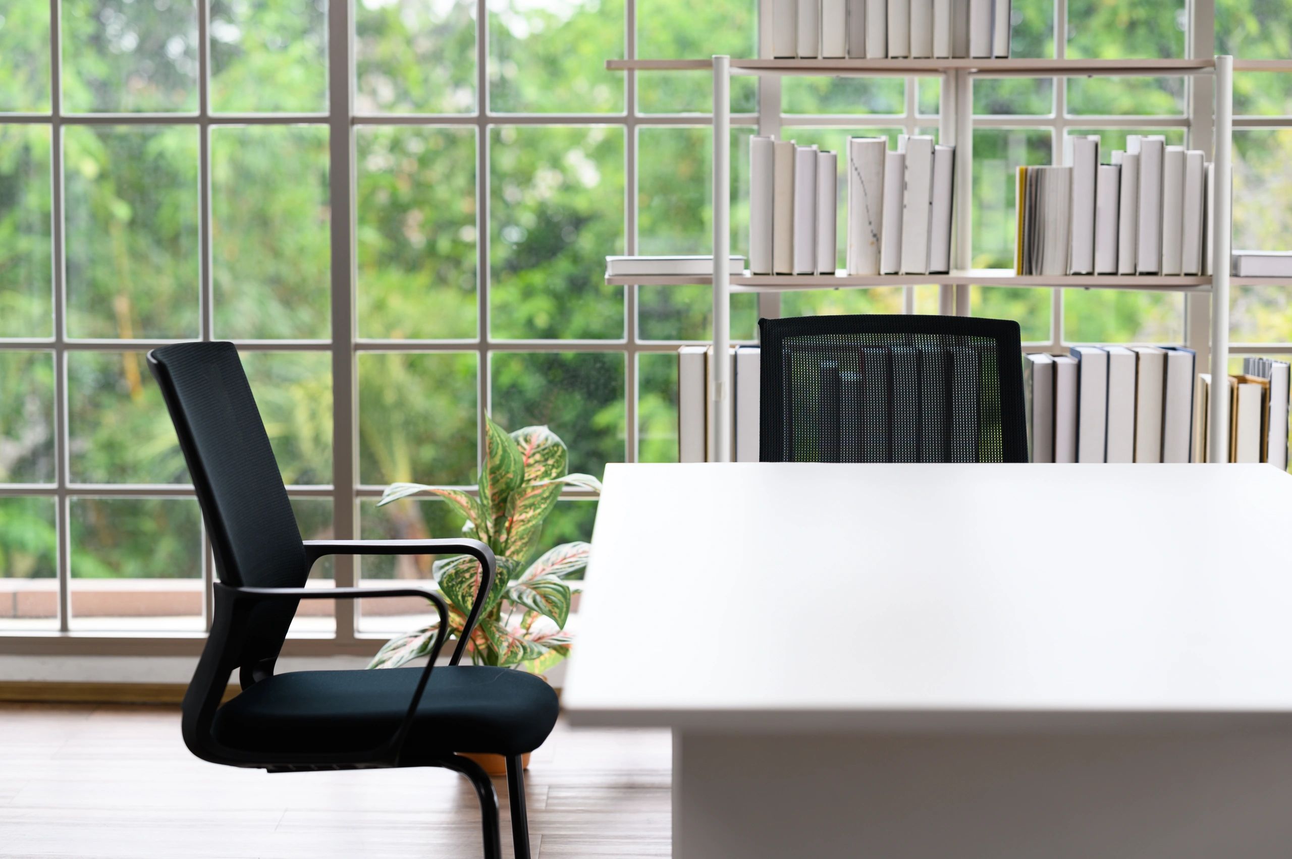 Warm study corner with desk, chair, bookshelf, and natural light