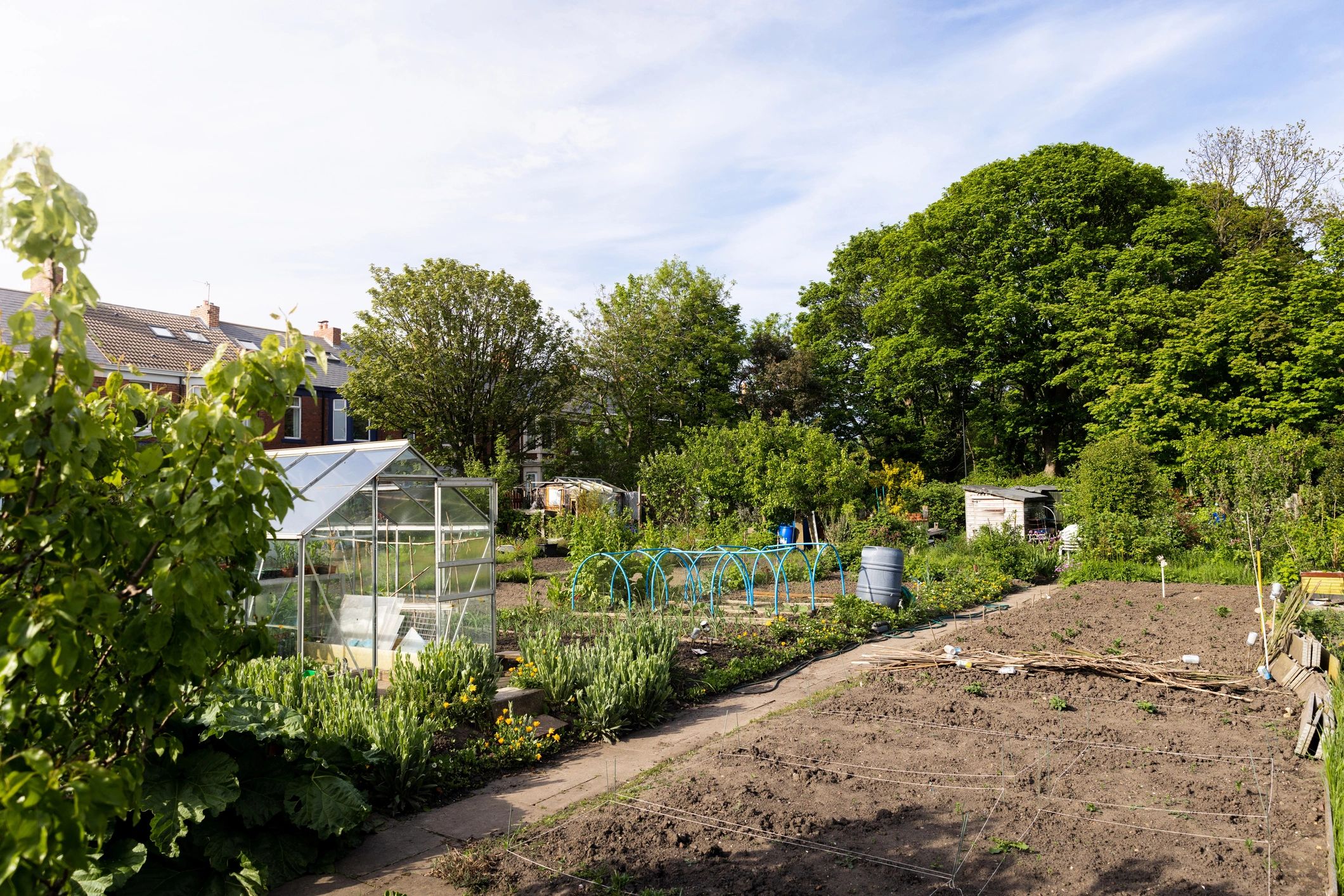 Community garden allotment with growing areas