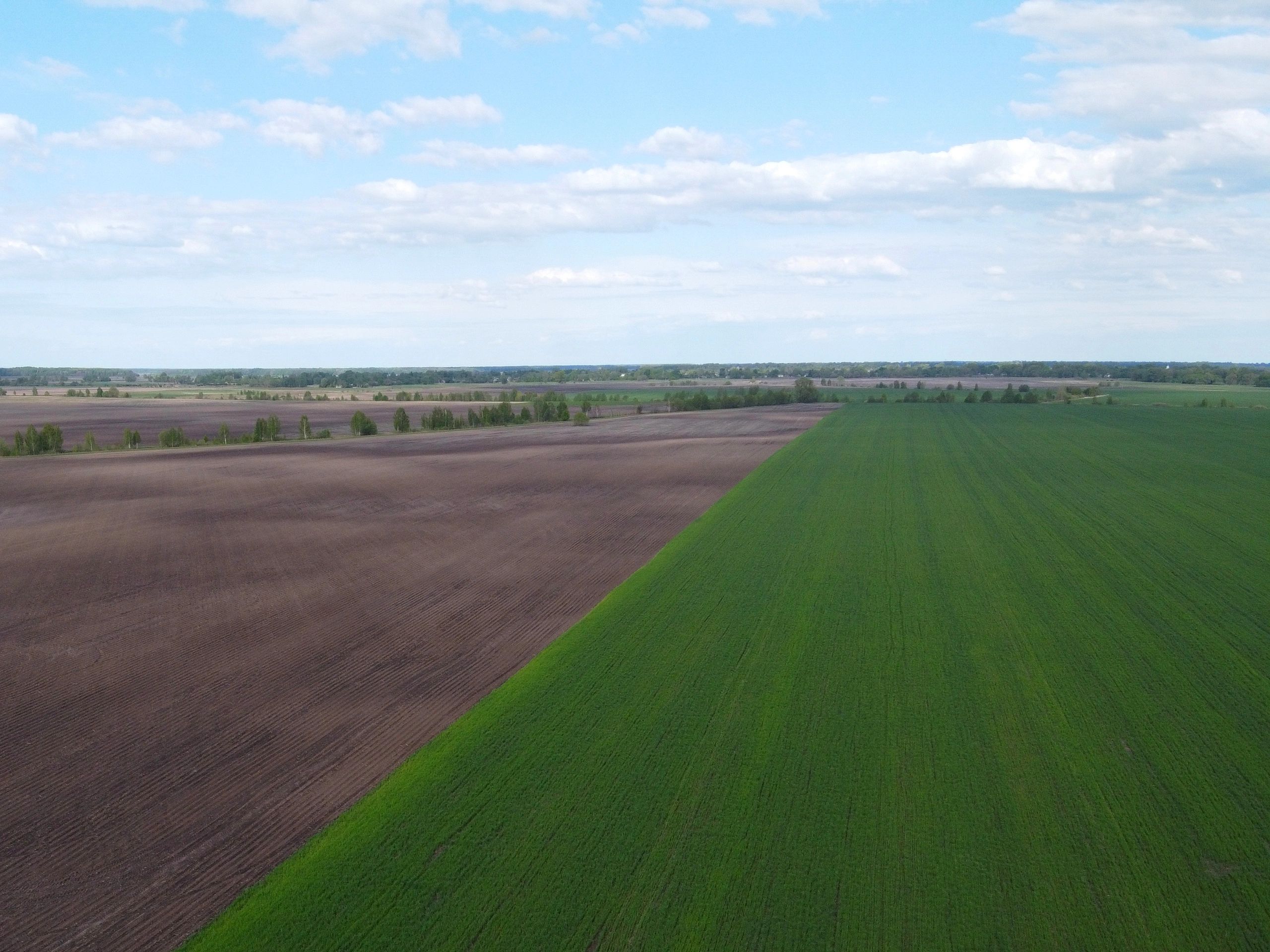 Aerial view of cultivated farmland